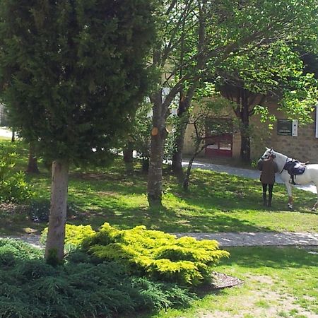 Alda Palas De Rei Buitenkant foto